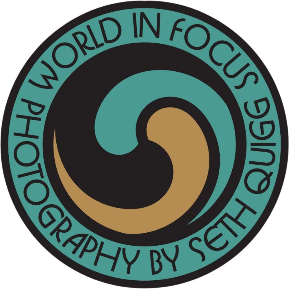 logo world in focus